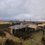 PXL_20251110_220529908.PANO