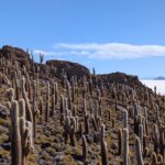 PXL_20251122_193211792