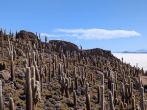 PXL_20251122_193211792