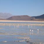 PXL_20251123_215125729