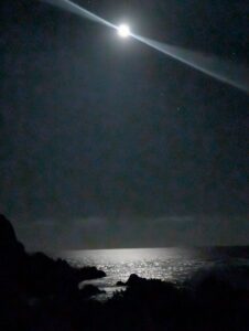 PXL_20251126_020259078.NIGHT