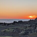 PXL_20251126_232808932