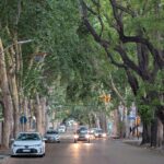 PXL_20251207_232139433