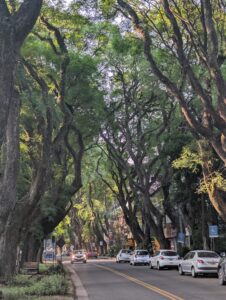 PXL_20251229_212709043