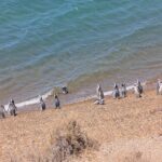 PXL_20260105_171620117