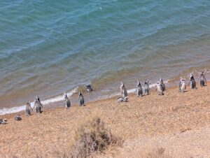 PXL_20260105_171620117