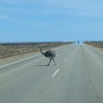 PXL_20260107_183717824