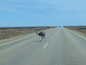 PXL_20260107_183717824