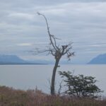 PXL_20260108_211003445