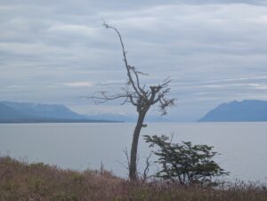 PXL_20260108_211003445