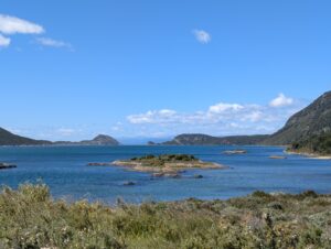 PXL_20260111_163336930