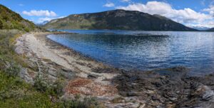 PXL_20260112_174811815.PANO