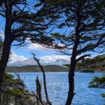 PXL_20260112_185549237