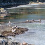 PXL_20260112_193423145