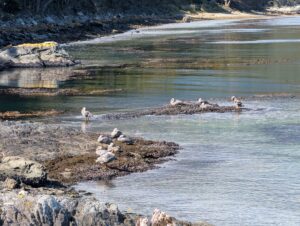 PXL_20260112_193423145