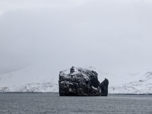 PXL_20260117_164752681