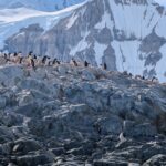 PXL_20260118_124044252