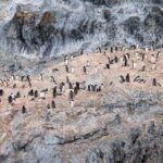 PXL_20260118_130701327