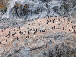 PXL_20260118_130701327