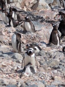 PXL_20260118_134948508