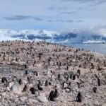 PXL_20260118_135413773