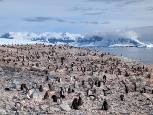 PXL_20260118_135413773