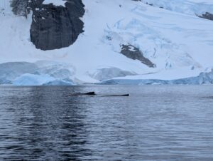 PXL_20260118_192640639