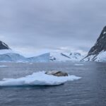 PXL_20260118_193359372