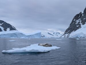 PXL_20260118_193359372