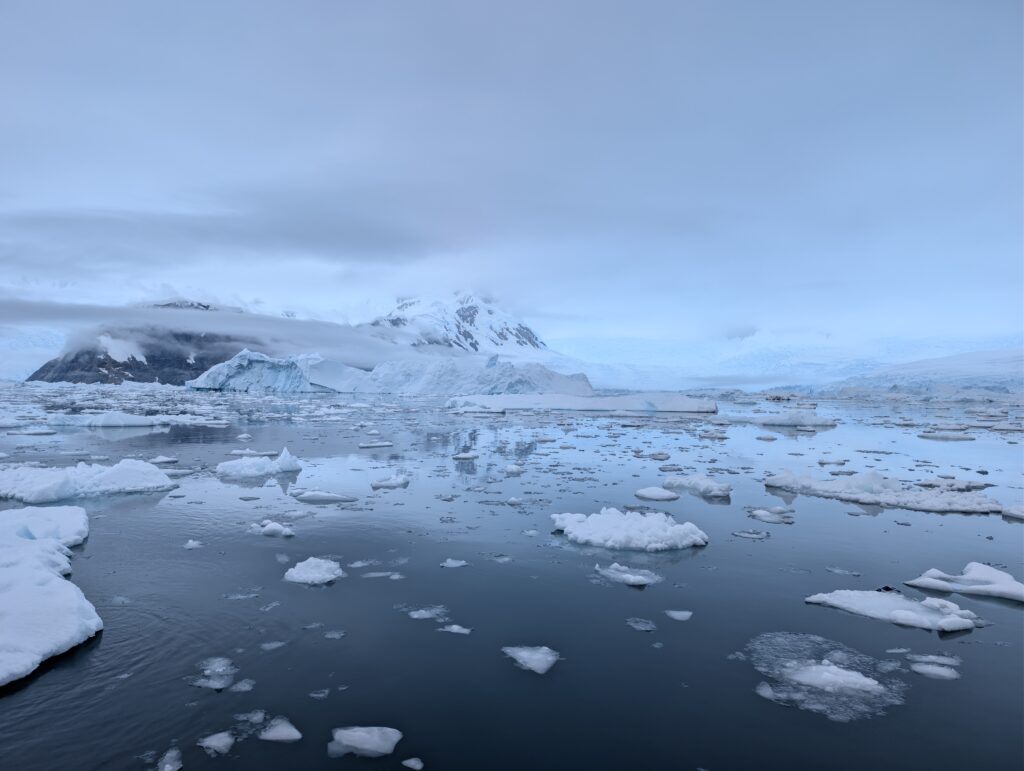 PXL_20260119_182220541