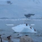 PXL_20260119_190759556