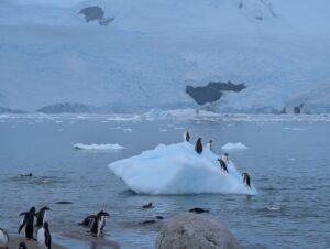 PXL_20260119_190759556