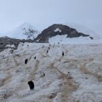 PXL_20260119_190955194