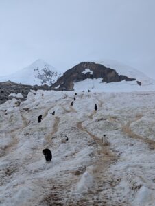 PXL_20260119_190955194