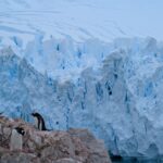 PXL_20260119_192016759