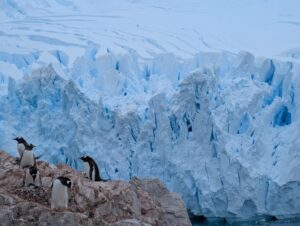 PXL_20260119_192016759