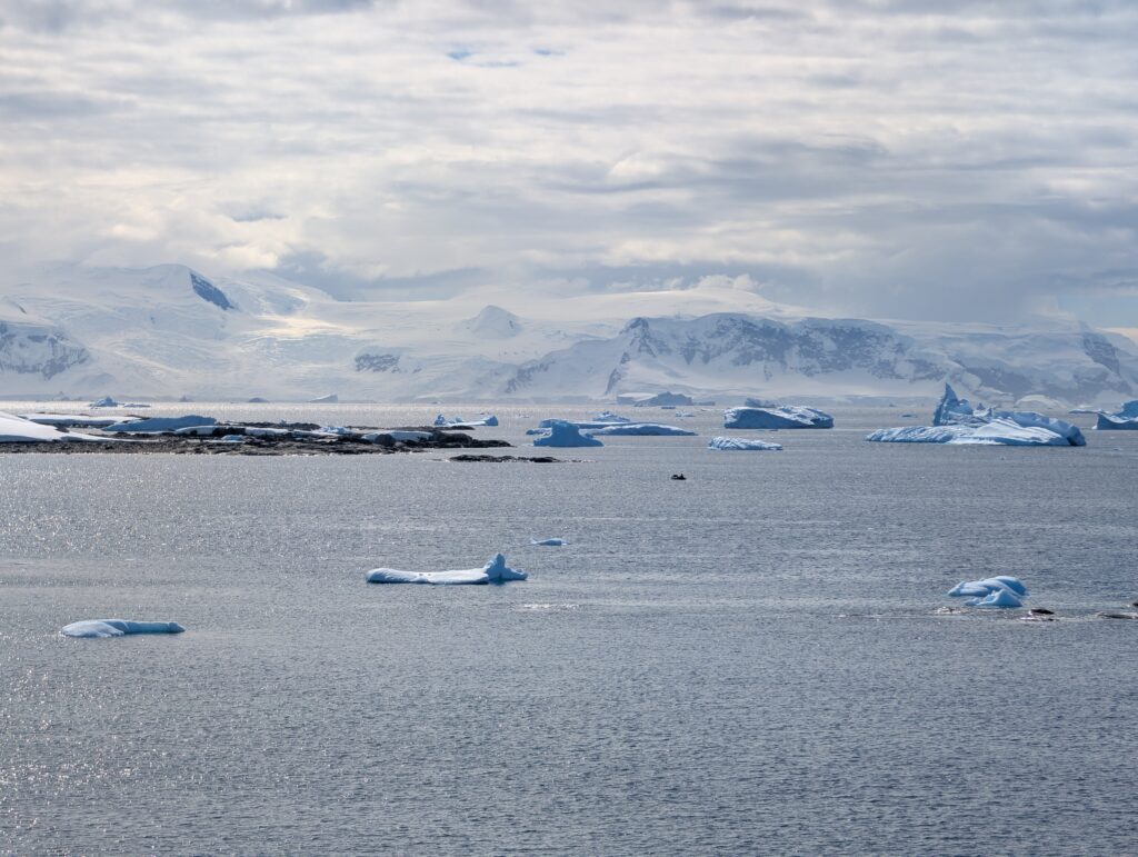 PXL_20260121_024149554