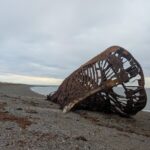 PXL_20260124_221808379