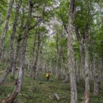 PXL_20260210_125903751