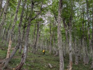 PXL_20260210_125903751