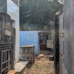 PXL_20260220_184820737