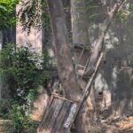 PXL_20260220_184922728