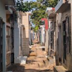 PXL_20260220_184945132