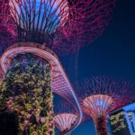 PXL_20260406_114002581.NIGHT