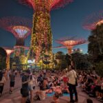 PXL_20260406_114113780.NIGHT