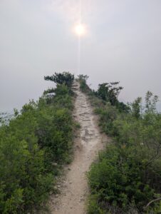 PXL_20260515_084003909