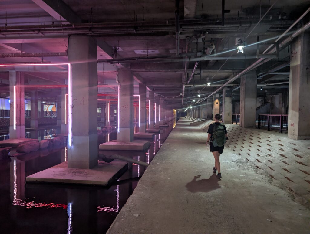 PXL_20260524_081635846